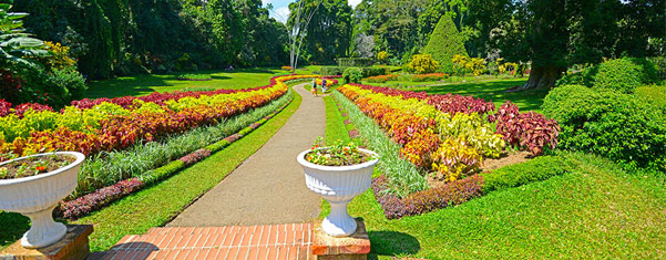 peradeniya-botanical-garden